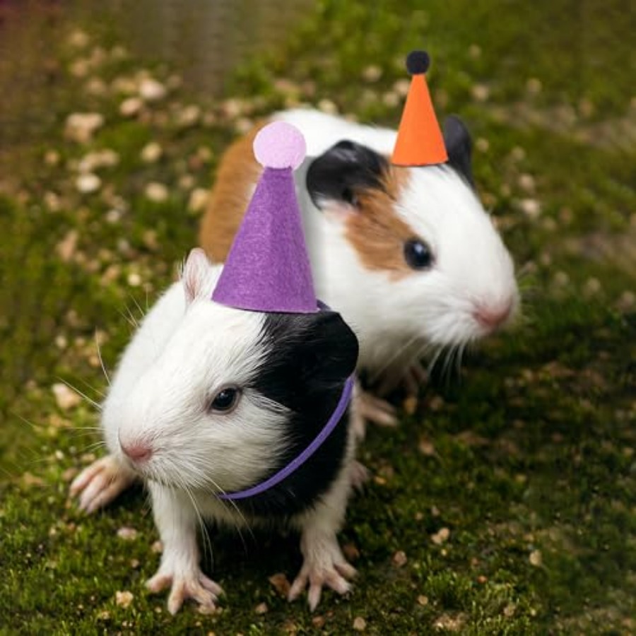 Mini Party Hats for Stuffed An – Party Hat Cone recenzja i cena